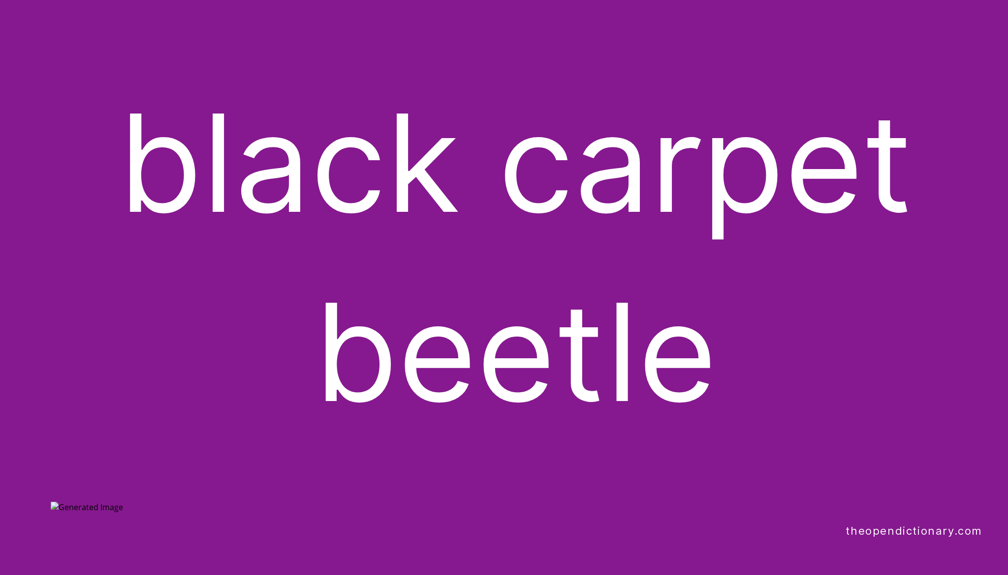 Black carpet beetle Meaning of Black carpet beetle Definition of